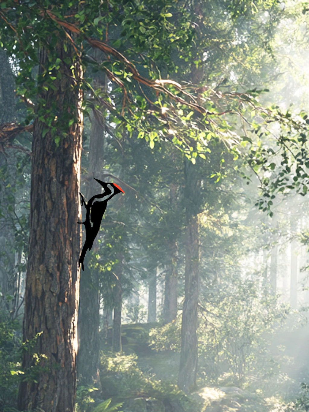 Metal Woodpecker Wall Art - Rust-Resistant Outdoor Decor For Garden & Patio